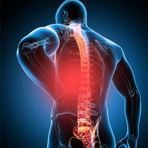 MRI - Brain and Spine - 2nd Opinion